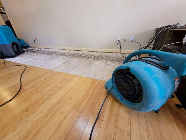 Professional Water Removal technician working in Jamestown, MO
